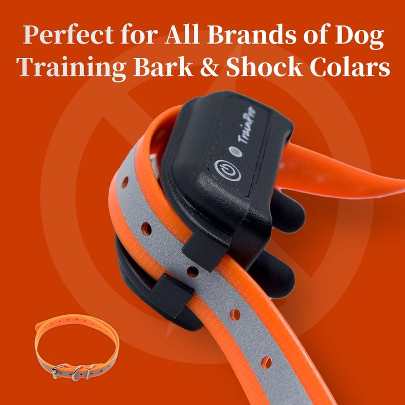 JimysCo Replacement Â¾â€ Collar Strap Bands with Double Buckle Loop Training for All Brands of Pet Shock Bark e Collars. - Image 2